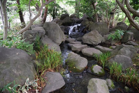 Japanese gardenの写真素材