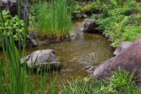 Japanese gardenの写真素材