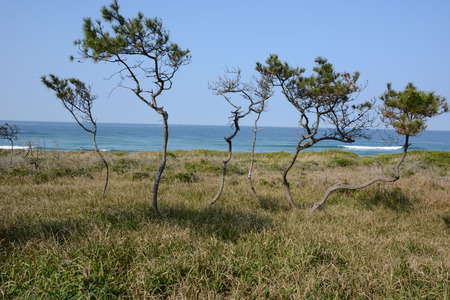 Summer beach / Japan Fukuoka Itoshima-city Keya-beachの写真素材