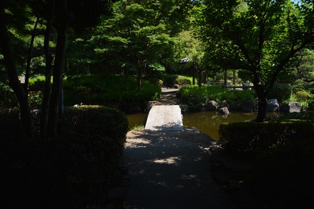 Summer Japanese Parkの写真素材
