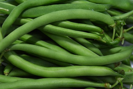 Home vegetable garden