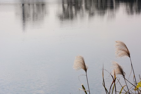 Chikugo River Japan Fukuoka Asakura-cityの写真素材