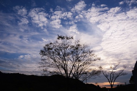 Autumn parkの写真素材