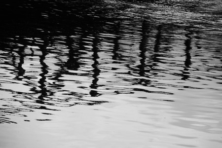 Chikugo-River riverbedの写真素材