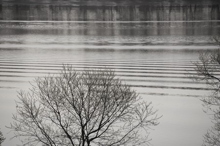 Chikugo-river/Japan Fukuokaの写真素材