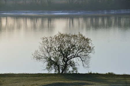 Chikugo-river/Japan Fukuokaの写真素材