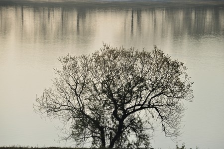 Chikugo-river/Japan Fukuokaの写真素材