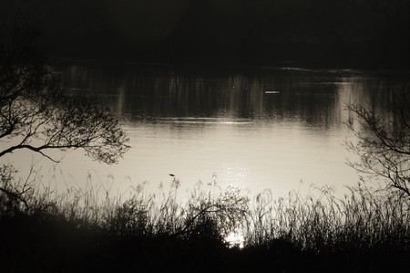 Chikugo-river/Japan Fukuokaの写真素材