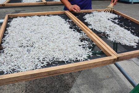 Dried whitebait
