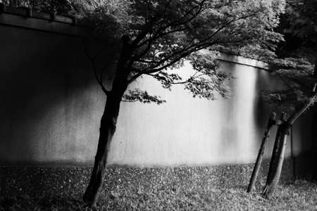 At the parkの写真素材