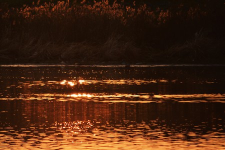 A view of the Chikugo River riverbedの写真素材