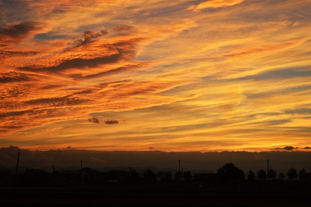 Morning glowの写真素材
