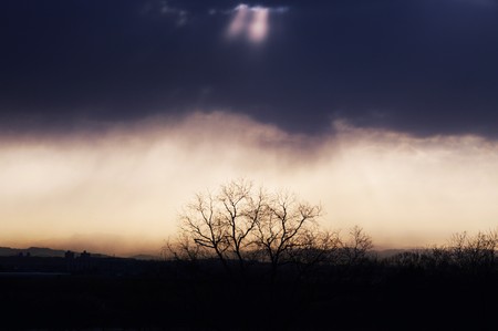 Nature scene in the morning / backgroundの写真素材