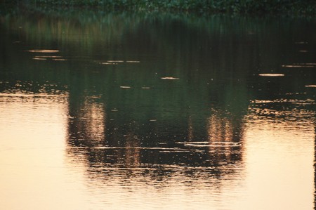 Water reflectionの写真素材