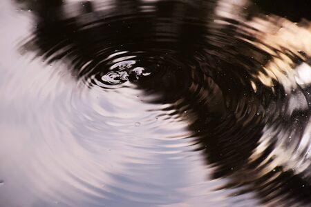 Water Crestの写真素材