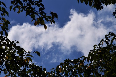 Autumn cloudsの写真素材