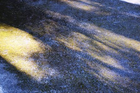 Light and shadowの写真素材