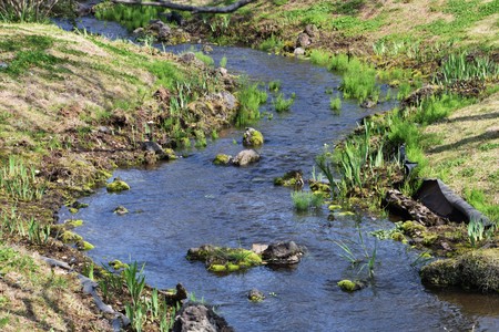 Spring of Japan natural parkの写真素材