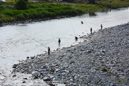 Sweetfish (Ayu) fishingの写真素材
