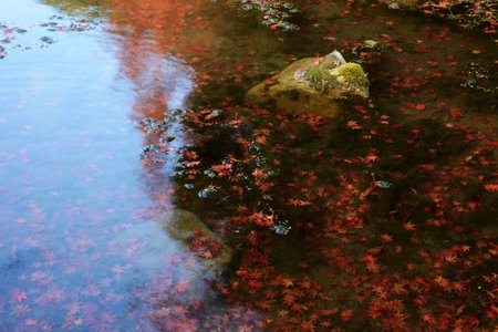 Harmony of water and stones Japanese landscape