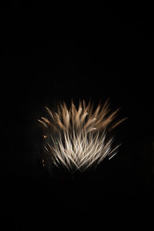 Firework display