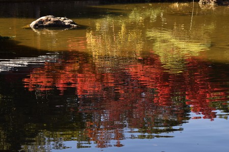 A view of the autumn natural park in Japanの写真素材