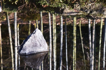 Japanese style garden pond water surface reflectionの写真素材