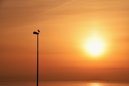 Sunrise and a shining spectacle of the seaside