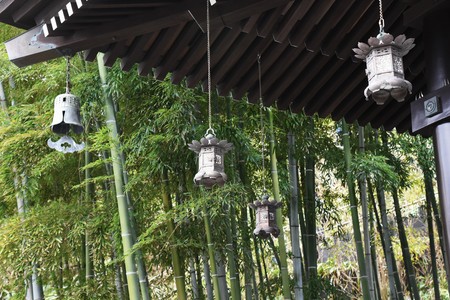 Lanterns and bamboo forest in the Japanese temple.の写真素材