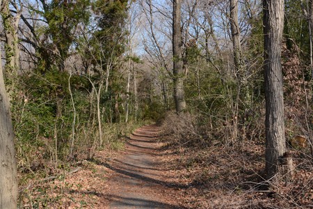 A narrow road in the mountainの写真素材