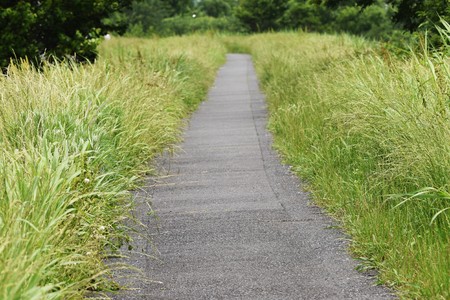 A narrow pathの写真素材