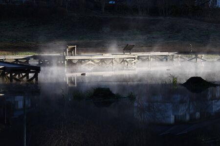 Ducks on a pondの写真素材