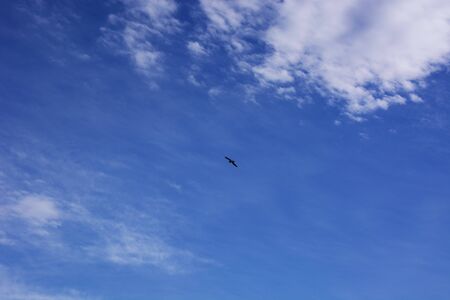 Blue sea, blue sky and white clouds.