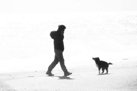 Background / Swinging time with a dog pet.の写真素材
