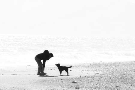 Background / Swinging time with a dog pet.の写真素材