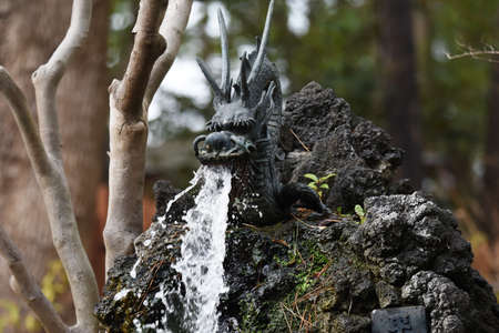 The scene of the precincts of a Japanese shrine.の写真素材