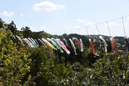 In Japan,hang up the carp streamers called 'Koinobori' on children's day.の写真素材