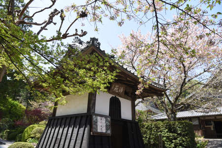 Famous tourist attractions in Japan Zen temple 'Ryotanji'. Hamamatsu, Shizuoka.のeditorial素材