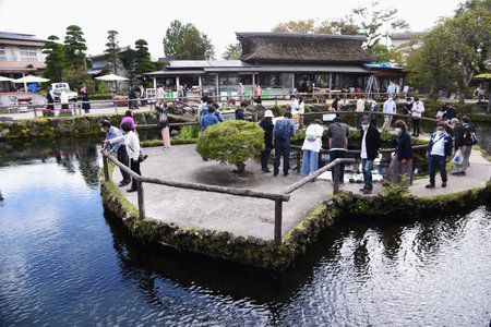 Tourist attraction in Japan. "Oshino Hakkai"in Yamanashi Prefecture. The springs at the foot of Mt. Fuji are one of the 100 best waters in Japan, and there are eight beautiful spring ponds.のeditorial素材
