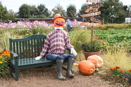 Halloween decoration. Every year on Halloween day, children and young people get excited with costumes in Japan.の写真素材