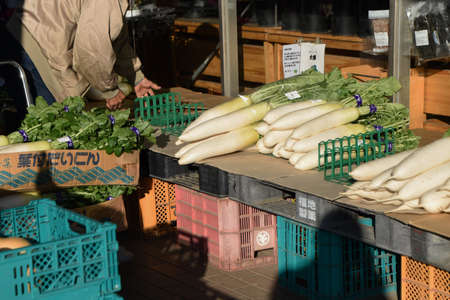 A scene of preparations for opening the Farmer`s market.の写真素材