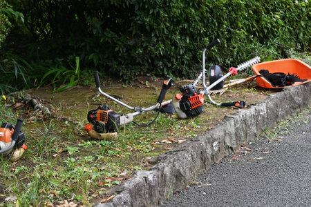 A view of the maintenance work in the park. Background material for the workplace.