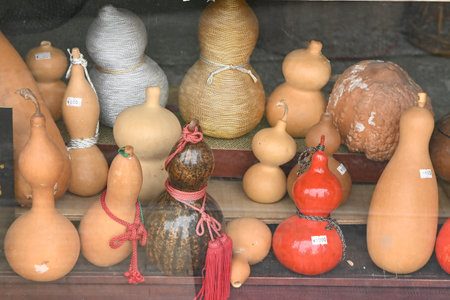 Gourd cultivation. Cucurbitaceae annual vine plants. Seeds are sown in April and harvested in September. It is processed into water containers and musical instruments.の写真素材