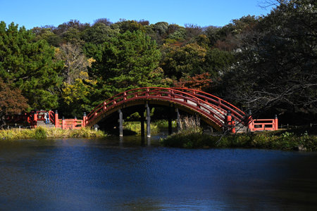 Travel to Japan tourist attractions. 'Kanazawa-Hakkei Shomyoji Temple'. Kanazawa Ward, Yokohama City. A view of the tower gate and ginkgo trees reflected in the precinct pond.の写真素材