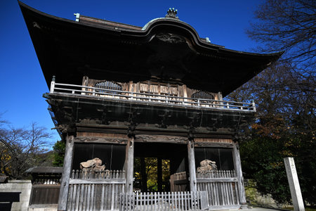 Travel to Japan tourist attractions. 'Kanazawa-Hakkei Shomyoji Temple'. Kanazawa Ward, Yokohama City. A view of the tower gate and ginkgo trees reflected in the precinct pond.の写真素材