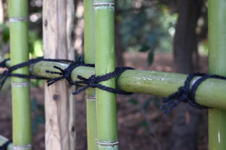 A traditional Japanese hedge made of bamboo. Residential background material.