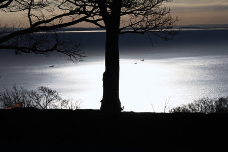 An abstract scene before dawn. Abstract landscape background material.âの写真素材