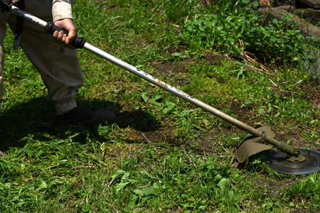 A scene from weed cutting work. Background material for working people.
