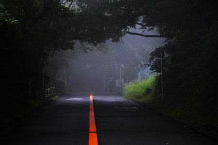 A fantastic scene on a foggy morning. Mysterious background material.の写真素材