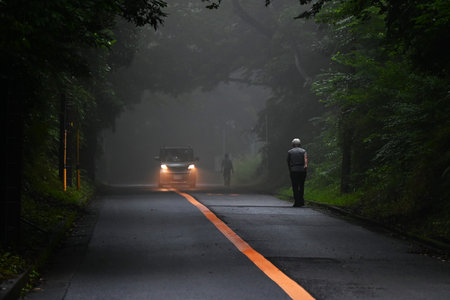 A fantastic scene on a foggy morning. Mysterious background material.の写真素材